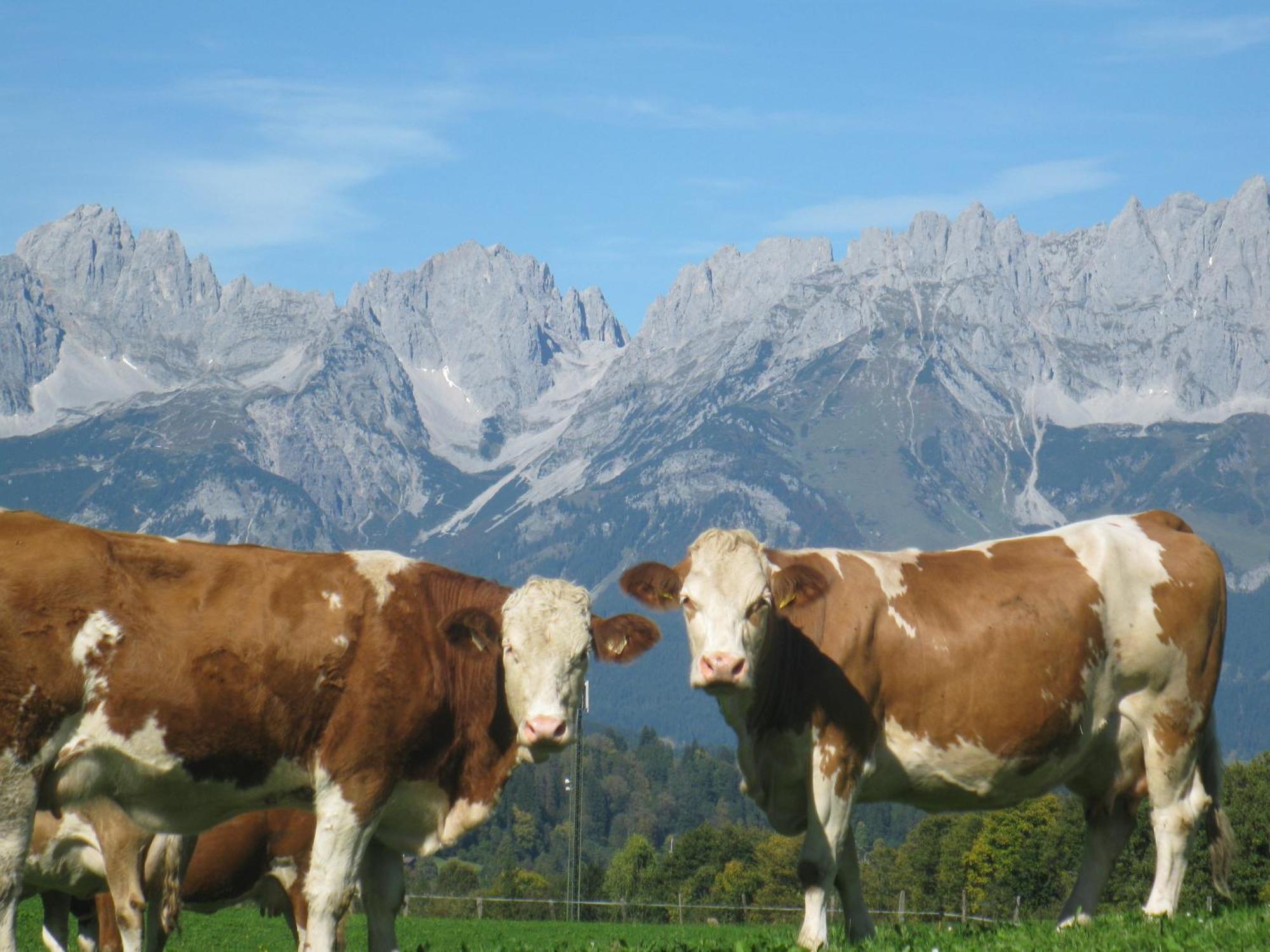 Malernhof Kitzbühel Exterior foto