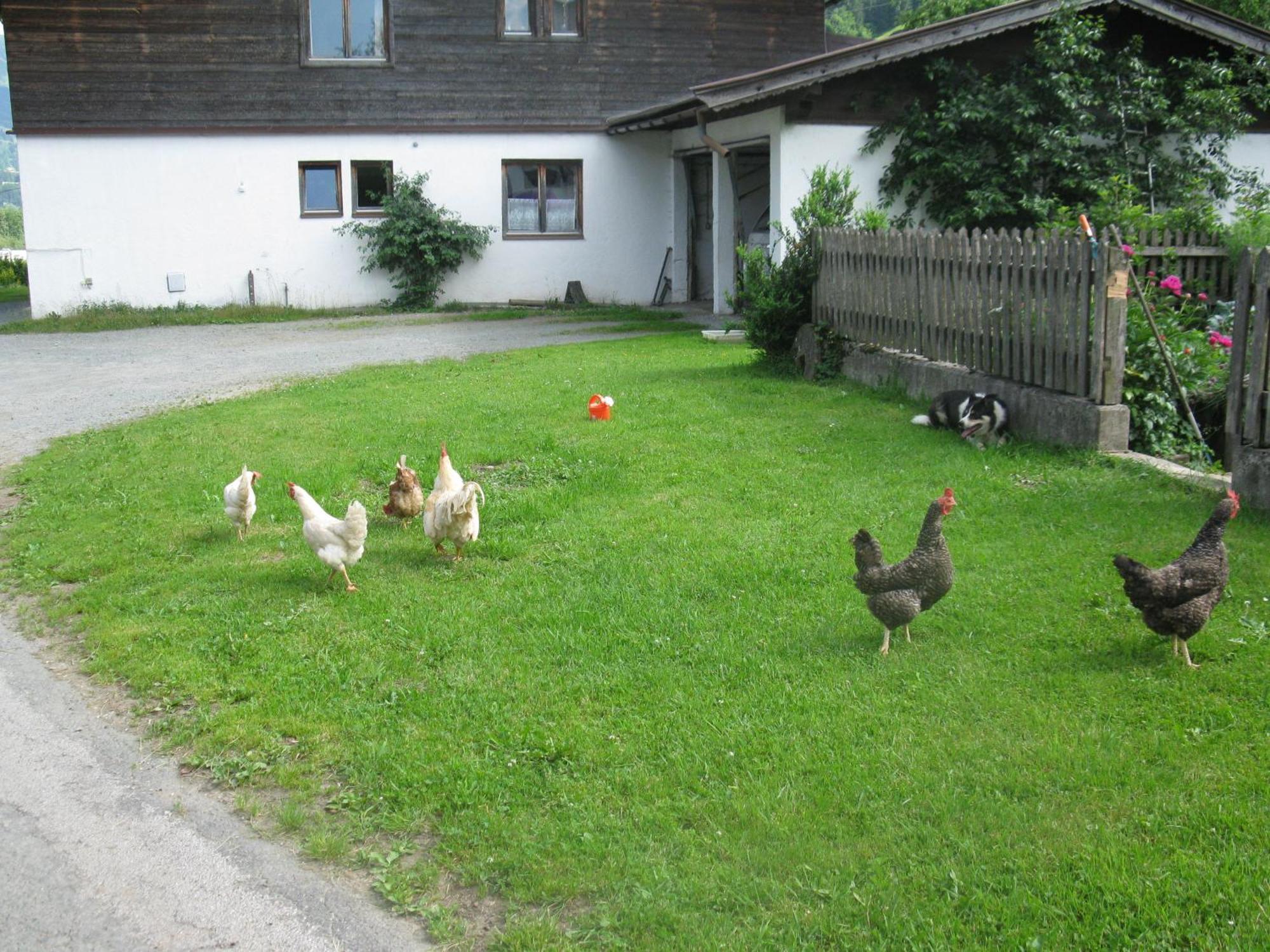 Malernhof Kitzbühel Exterior foto